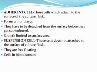  ADHERENT CELL-Those cells which attach to the
surface of the culture flask.
 Forms a monolayer.
 They have to be detached from the surface before they
get sub cultured.
 Growth limited to surface area.
 SUSPENSION CELL-Those cells does not attached to
the surface of culture flask.
 They are free floating
 Cells in blood stream.
 
