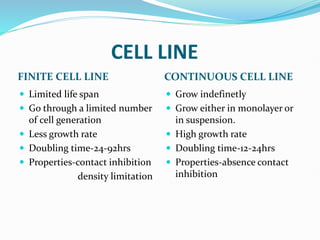 CELL LINE
FINITE CELL LINE CONTINUOUS CELL LINE
 Limited life span
 Go through a limited number
of cell generation
 Less growth rate
 Doubling time-24-92hrs
 Properties-contact inhibition
density limitation
 Grow indefinetly
 Grow either in monolayer or
in suspension.
 High growth rate
 Doubling time-12-24hrs
 Properties-absence contact
inhibition
 