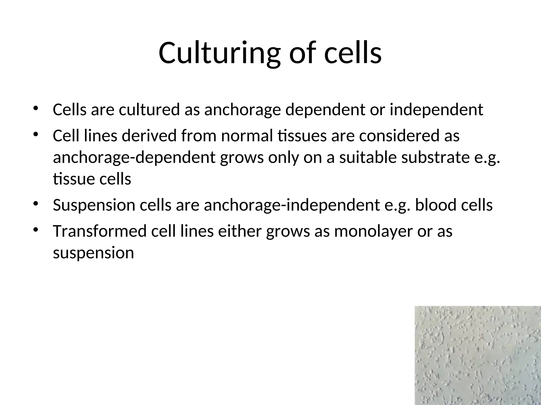 Culturing of cells
• Cells are cultured as anchorage dependent or independent
• Cell lines derived from normal tissues are considered as
anchorage-dependent grows only on a suitable substrate e.g.
tissue cells
• Suspension cells are anchorage-independent e.g. blood cells
• Transformed cell lines either grows as monolayer or as
suspension
 