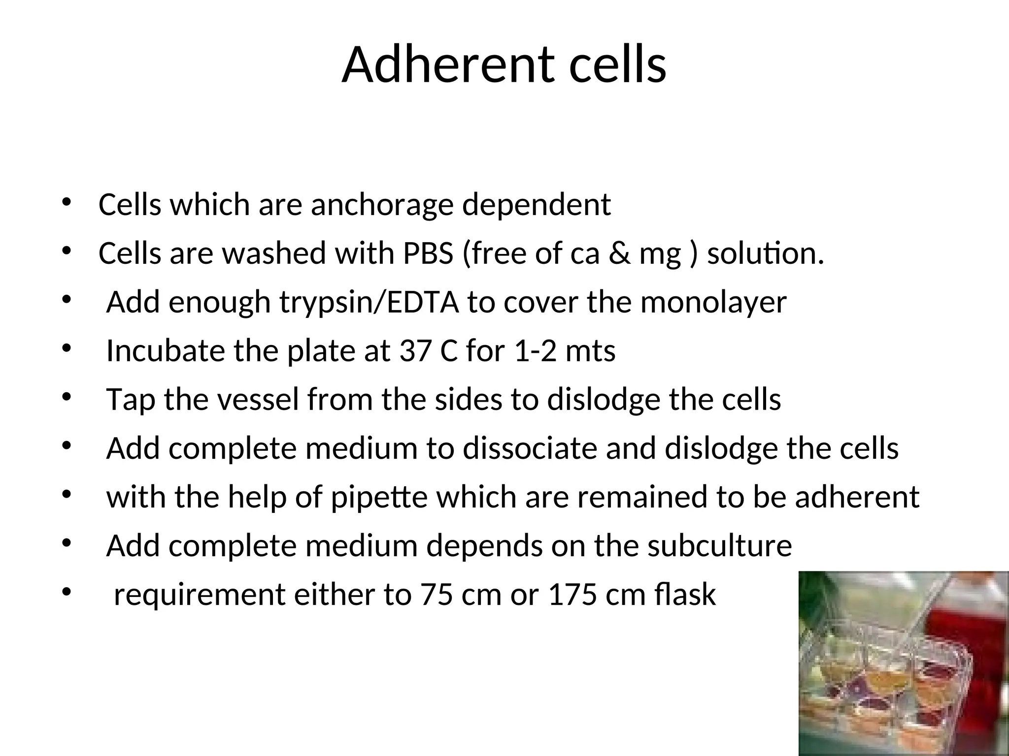 Adherent cells
• Cells which are anchorage dependent
• Cells are washed with PBS (free of ca & mg ) solution.
• Add enough trypsin/EDTA to cover the monolayer
• Incubate the plate at 37 C for 1-2 mts
• Tap the vessel from the sides to dislodge the cells
• Add complete medium to dissociate and dislodge the cells
• with the help of pipette which are remained to be adherent
• Add complete medium depends on the subculture
• requirement either to 75 cm or 175 cm flask
 