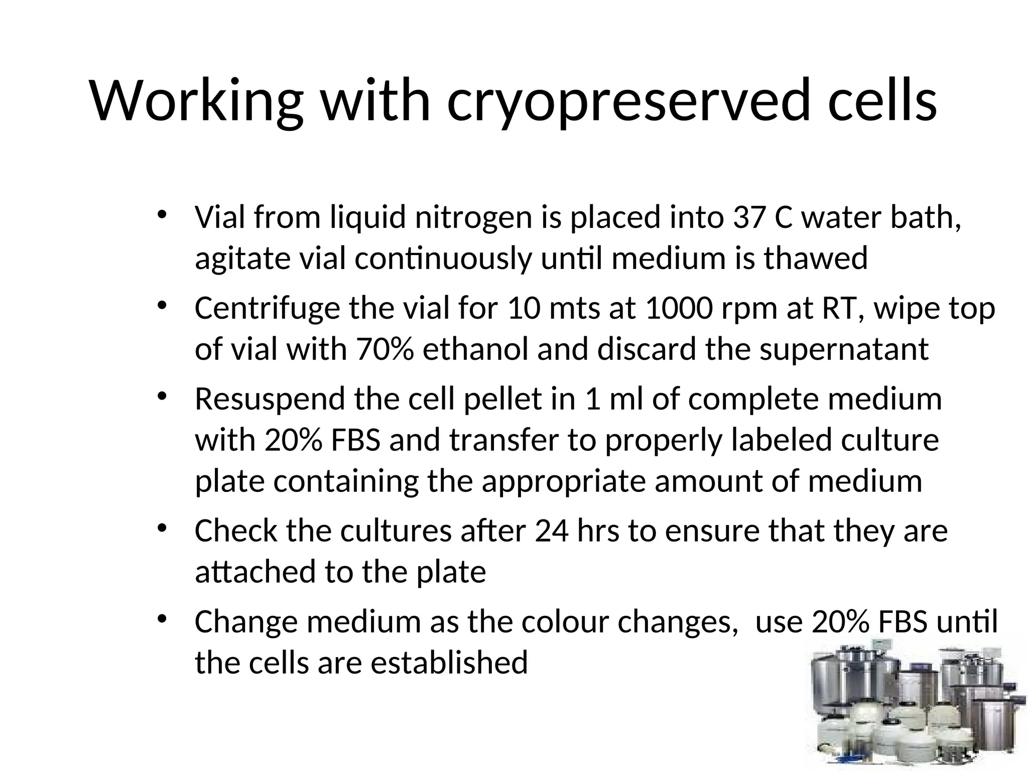 Working with cryopreserved cells
• Vial from liquid nitrogen is placed into 37 C water bath,
agitate vial continuously until medium is thawed
• Centrifuge the vial for 10 mts at 1000 rpm at RT, wipe top
of vial with 70% ethanol and discard the supernatant
• Resuspend the cell pellet in 1 ml of complete medium
with 20% FBS and transfer to properly labeled culture
plate containing the appropriate amount of medium
• Check the cultures after 24 hrs to ensure that they are
attached to the plate
• Change medium as the colour changes, use 20% FBS until
the cells are established
 