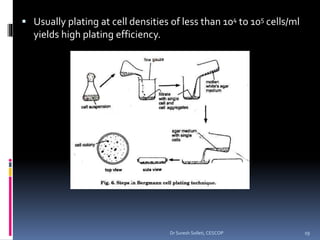 Cell culture | PPTX