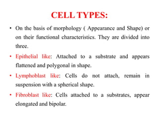 CELL TYPES:
• On the basis of morphology ( Appearance and Shape) or
on their functional characteristics. They are divided into
three.
• Epithelial like: Attached to a substrate and appears
flattened and polygonal in shape.
• Lymphoblast like: Cells do not attach, remain in
suspension with a spherical shape.
• Fibroblast like: Cells attached to a substrates, appear
elongated and bipolar.
 