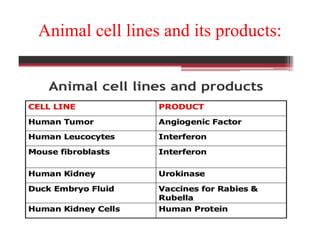 Animal cell lines and its products:
 
