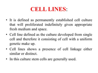 CELL LINES:
• It is defined as permanently established cell culture
that will proliferated indefinitely given appropriate
fresh medium and space.
• Cell line defined as the culture developed from single
cell and therefore it consisting of cell with a uniform
genetic make up.
• Cell lines shows a presence of cell linkage either
similar or distinct.
• In this culture stem cells are generally used.
 
