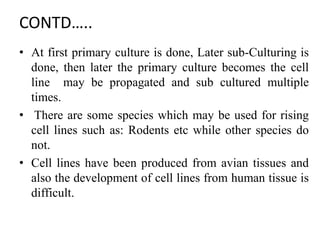 CONTD…..
• At first primary culture is done, Later sub-Culturing is
done, then later the primary culture becomes the cell
line may be propagated and sub cultured multiple
times.
• There are some species which may be used for rising
cell lines such as: Rodents etc while other species do
not.
• Cell lines have been produced from avian tissues and
also the development of cell lines from human tissue is
difficult.
 
