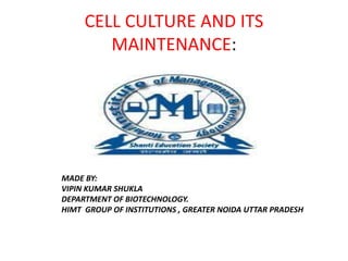 CELL CULTURE AND ITS
MAINTENANCE:
MADE BY:
VIPIN KUMAR SHUKLA
DEPARTMENT OF BIOTECHNOLOGY.
HIMT GROUP OF INSTITUTIONS , GREATER NOIDA UTTAR PRADESH
 