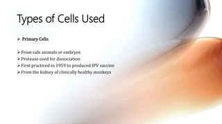Types of Cells Used
 Primary Cells
From safe animals or embryos
Protease used for dissociation
First practiced in 1959 to produced IPV vaccine
From the kidney of clinically healthy monkeys
 