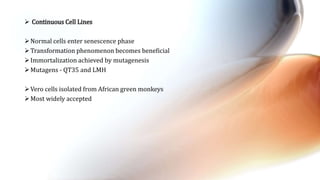  Continuous Cell Lines
Normal cells enter senescence phase
Transformation phenomenon becomes beneficial
Immortalization achieved by mutagenesis
Mutagens - QT35 and LMH
Vero cells isolated from African green monkeys
Most widely accepted
 