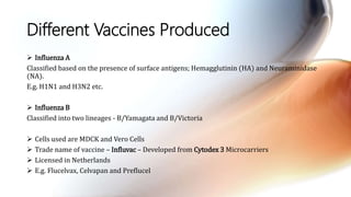 Different Vaccines Produced
 Influenza A
Classified based on the presence of surface antigens; Hemagglutinin (HA) and Neuraminidase
(NA).
E.g. H1N1 and H3N2 etc.
 Influenza B
Classified into two lineages - B/Yamagata and B/Victoria
 Cells used are MDCK and Vero Cells
 Trade name of vaccine – Influvac – Developed from Cytodex 3 Microcarriers
 Licensed in Netherlands
 E.g. Flucelvax, Celvapan and Preflucel
 