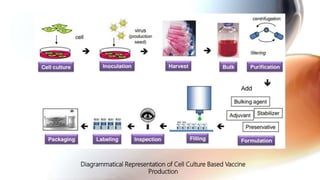 Cell culture based vaccines