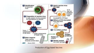 Cell culture based vaccines