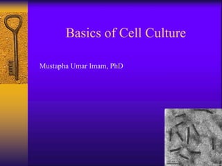 Mustapha Umar Imam, PhD
Basics of Cell Culture
 