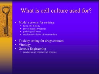 Cell culture basics.pptx