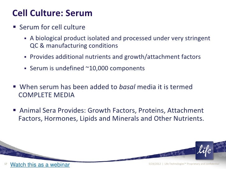 Cell Culture Techniques and Best Practices