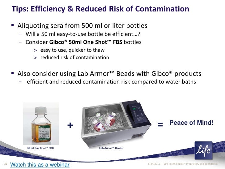 Cell Culture Techniques and Best Practices