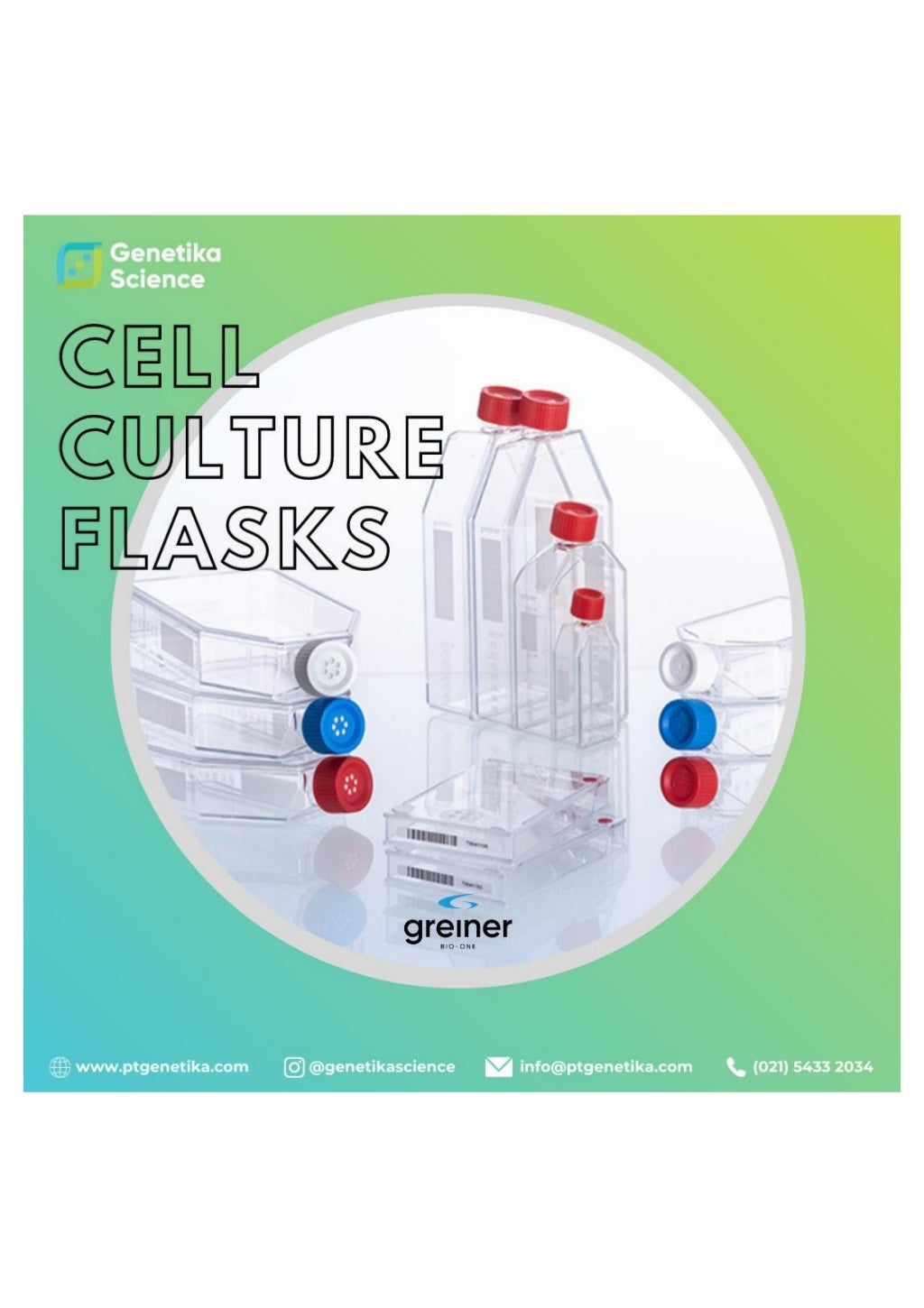 Science] Cell Culture Flask by Greiner