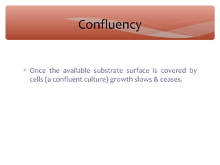 Confluency
∗ Once the available substrate surface is covered by
cells (a confluent culture) growth slows & ceases.
 