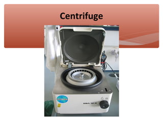 cell-culture-introduction-ppt