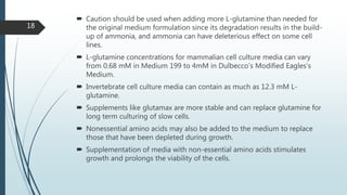  Caution should be used when adding more L-glutamine than needed for
the original medium formulation since its degradation results in the build-
up of ammonia, and ammonia can have deleterious effect on some cell
lines.
 L-glutamine concentrations for mammalian cell culture media can vary
from 0.68 mM in Medium 199 to 4mM in Dulbecco’s Modified Eagles’s
Medium.
 Invertebrate cell culture media can contain as much as 12.3 mM L-
glutamine.
 Supplements like glutamax are more stable and can replace glutamine for
long term culturing of slow cells.
 Nonessential amino acids may also be added to the medium to replace
those that have been depleted during growth.
 Supplementation of media with non-essential amino acids stimulates
growth and prolongs the viability of the cells.
18
 