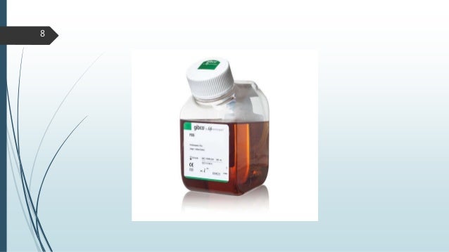 Cell Culture Media