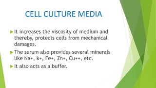 CELL CULTURE MEDIA
 It increases the viscosity of medium and
thereby, protects cells from mechanical
damages.
 The serum also provides several minerals
like Na+, k+, Fe+, Zn+, Cu++, etc.
 It also acts as a buffer.
 