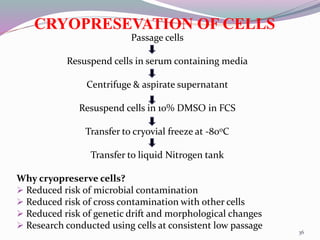 Cell culture techniques | PPTX