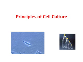 Principles of Cell Culture
 
