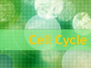 Cell Cycle   