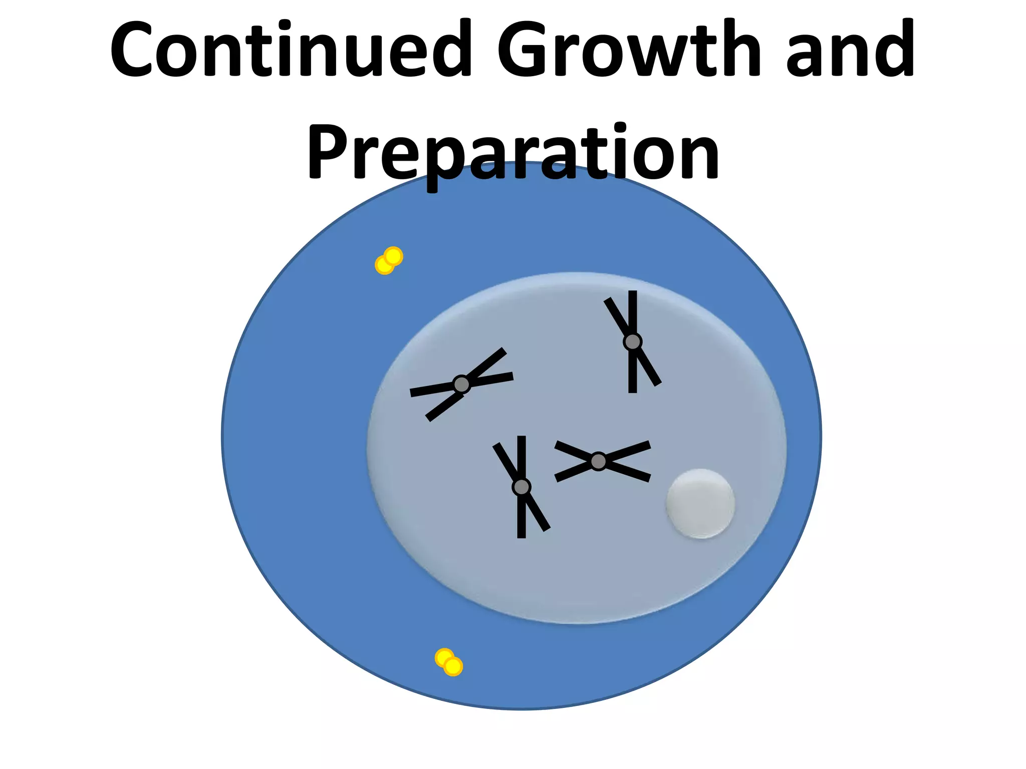 Continued Growth and Preparation