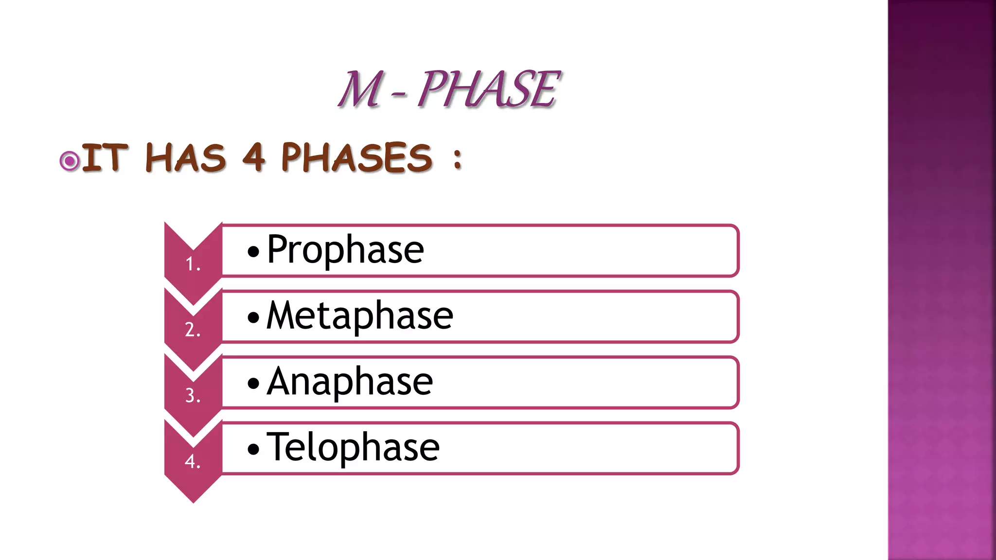 IT HAS 4 PHASES :
1. •Prophase
2. •Metaphase
3. •Anaphase
4. •Telophase
 