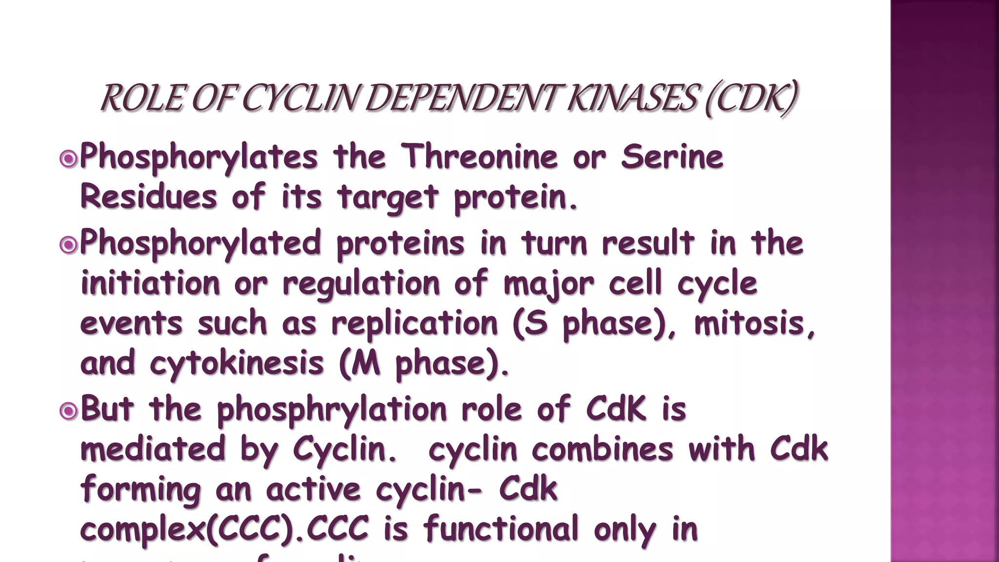 Phosphorylates the Threonine or Serine
Residues of its target protein.
Phosphorylated proteins in turn result in the
initiation or regulation of major cell cycle
events such as replication (S phase), mitosis,
and cytokinesis (M phase).
But the phosphrylation role of CdK is
mediated by Cyclin. cyclin combines with Cdk
forming an active cyclin- Cdk
complex(CCC).CCC is functional only in
 
