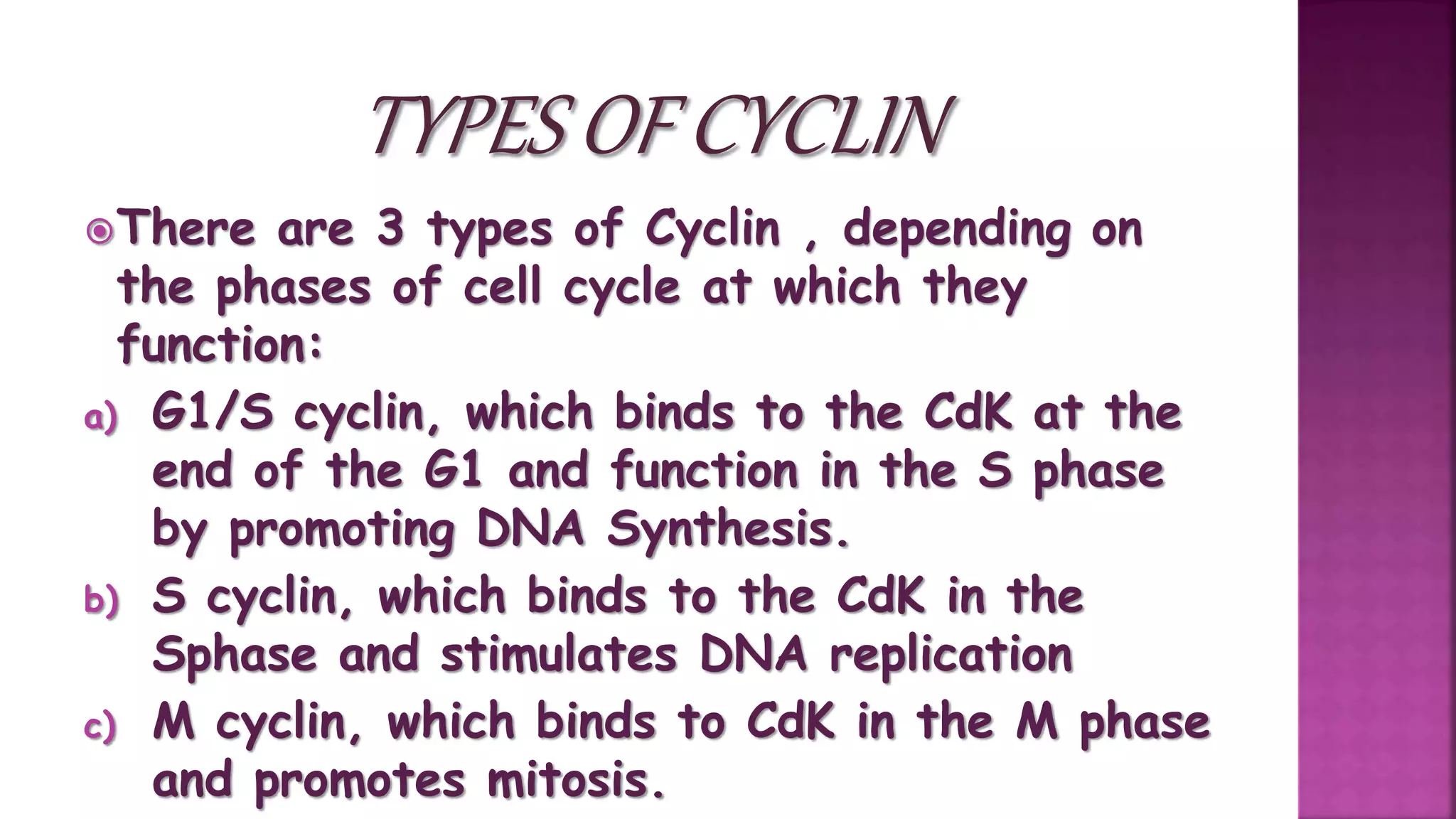 There are 3 types of Cyclin , depending on
the phases of cell cycle at which they
function:
a) G1/S cyclin, which binds to the CdK at the
end of the G1 and function in the S phase
by promoting DNA Synthesis.
b) S cyclin, which binds to the CdK in the
Sphase and stimulates DNA replication
c) M cyclin, which binds to CdK in the M phase
and promotes mitosis.
 