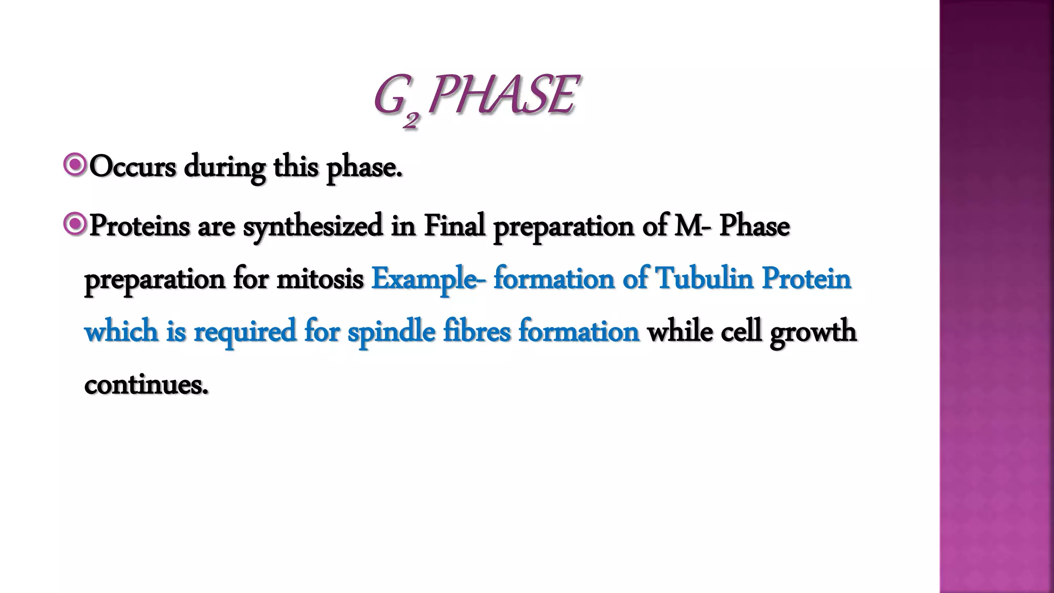 Occurs during this phase.
Proteins are synthesized in Final preparation of M- Phase
preparation for mitosis Example- formation of Tubulin Protein
which is required for spindle fibres formation while cell growth
continues.
 