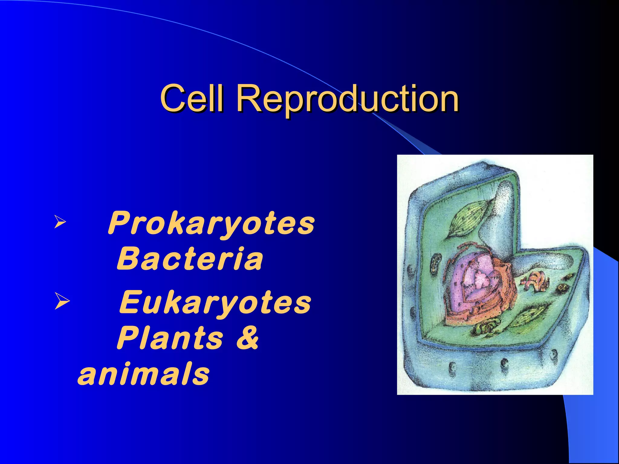 Cell Reproduction Prokaryotes Bacteria Eukaryotes Plants & animals
