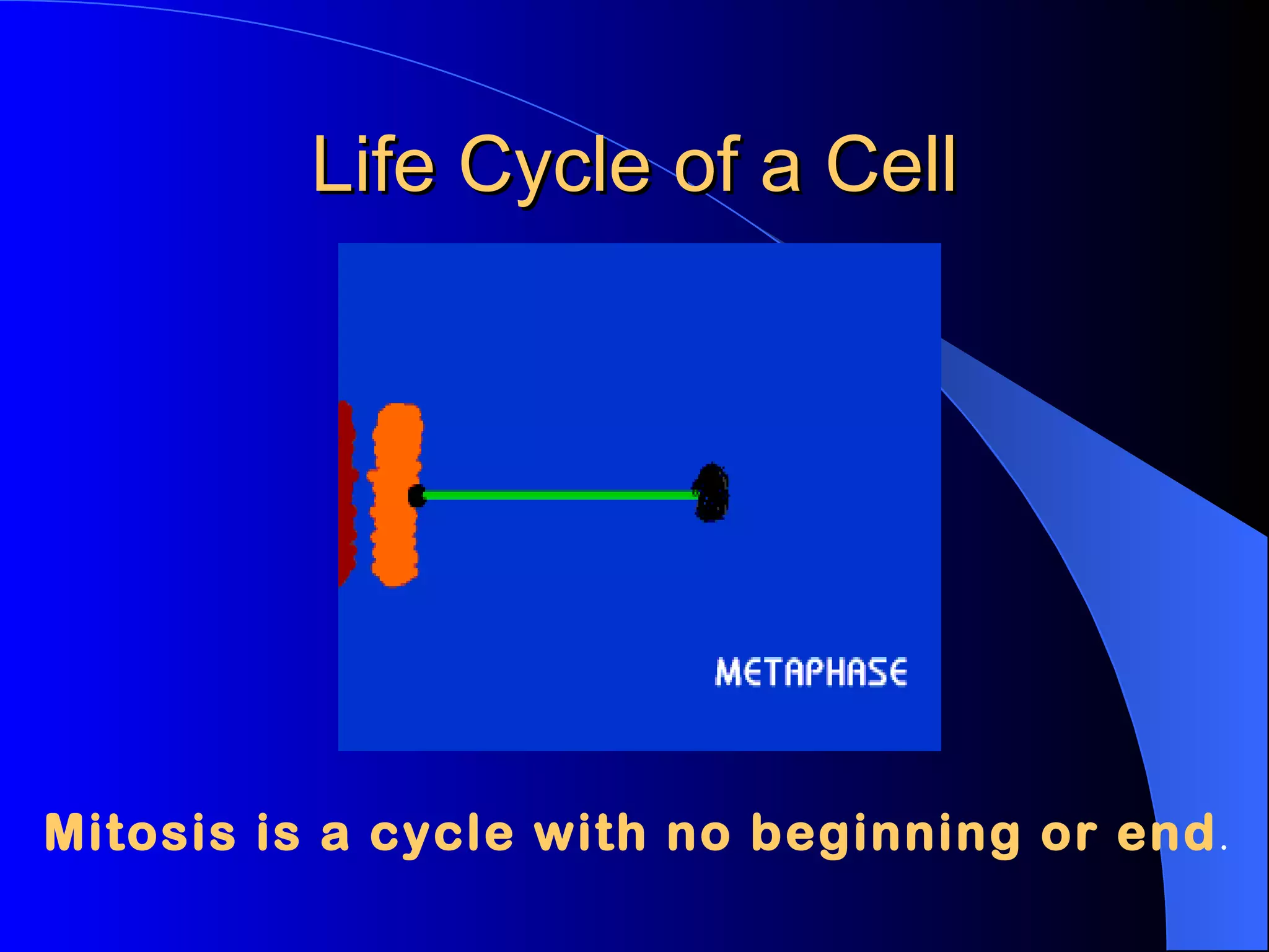 Life Cycle of a Cell Mitosis is a cycle with no beginning or end .