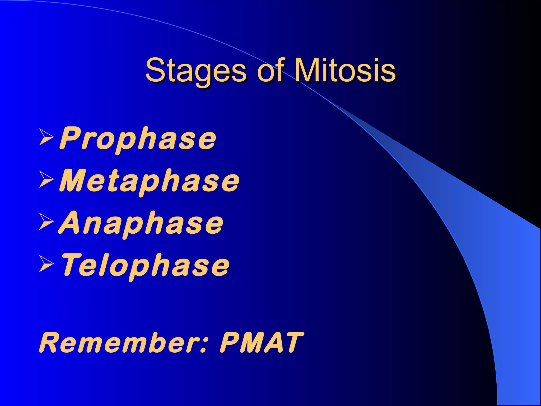 Stages of Mitosis Prophase Metaphase Anaphase Telophase Remember: PMAT