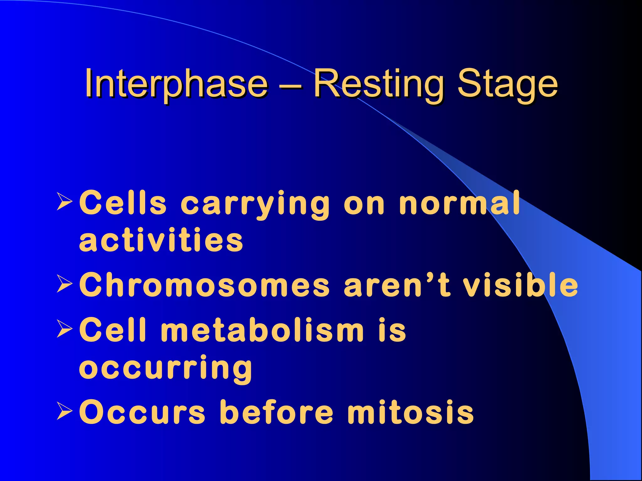 Interphase – Resting Stage Cells carrying on normal activities Chromosomes aren’t visible Cell metabolism is occurring Occurs before mitosis