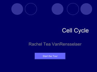 Cell Cycle Rachel Tea VanRensselaer Start the Tour 