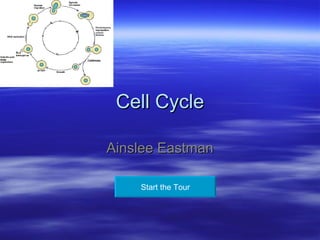 Cell Cycle Ainslee Eastman Start the Tour 