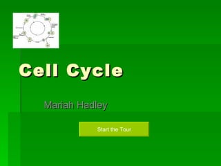 Cell Cycle Mariah Hadley Start the Tour 