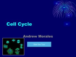 Cell Cycle Andrew Morales Start the Tour 