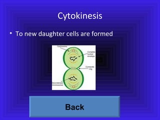 Cytokinesis To new daughter cells are formed Back 