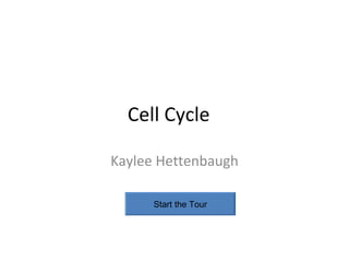 Cell Cycle Kaylee Hettenbaugh Start the Tour 