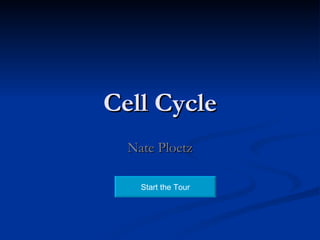 Cell Cycle Nate Ploetz Start the Tour 