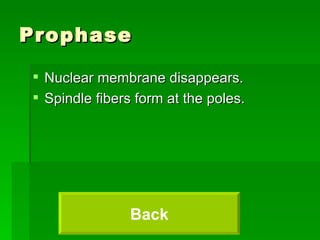 Prophase Nuclear membrane disappears. Spindle fibers form at the poles. Back 