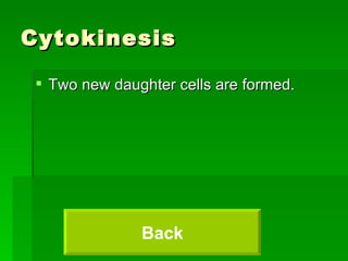 Cytokinesis Two new daughter cells are formed. Back 