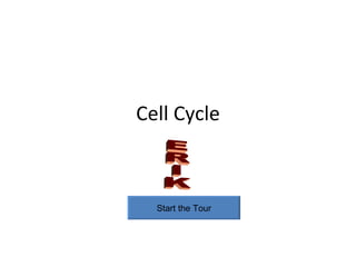 Cell Cycle Start the Tour ERIK 