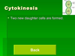 Cytokinesis Two new daughter cells are formed. Back 