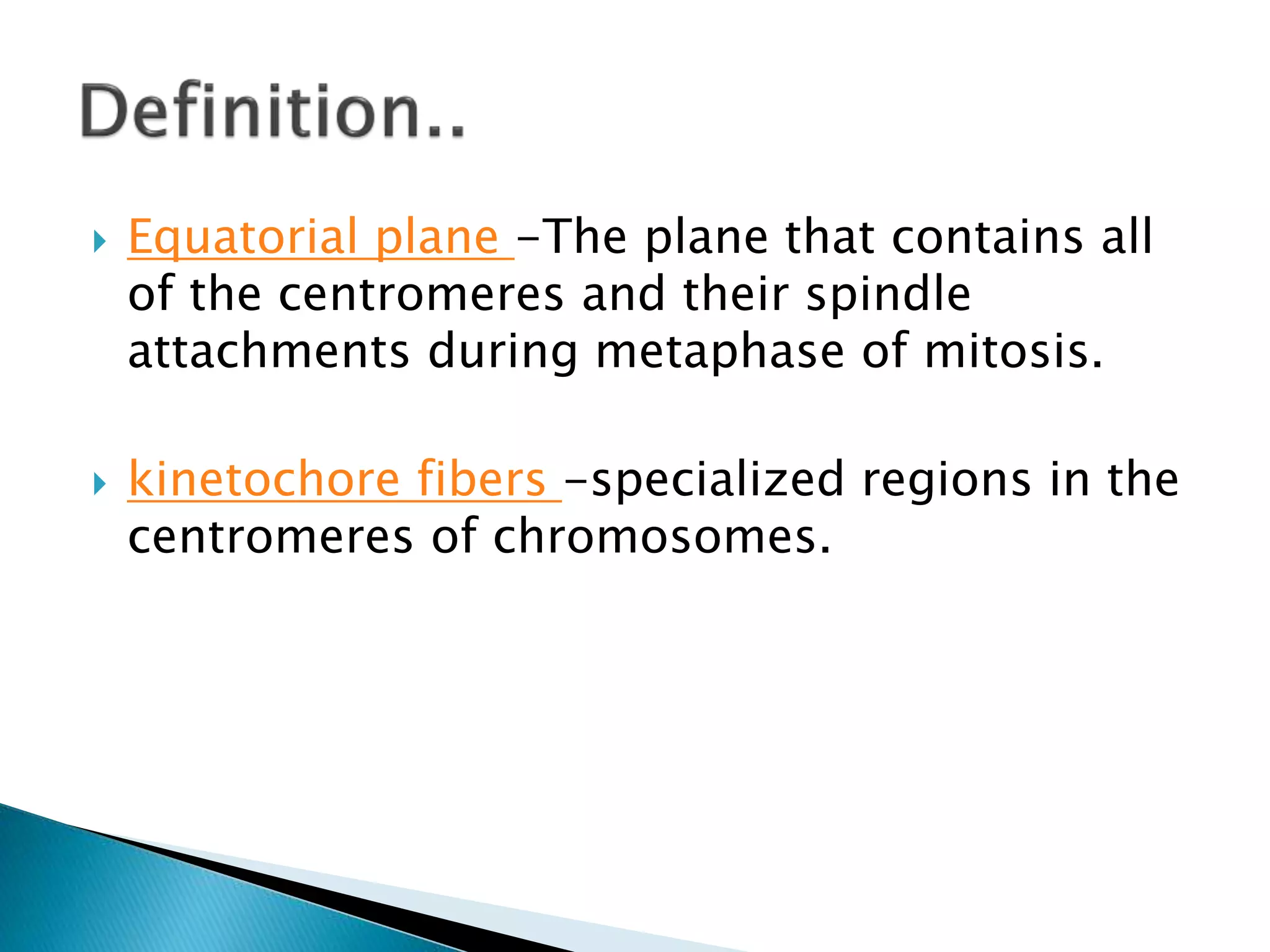 Cell Cycle and Cell Division Biology Diagrams